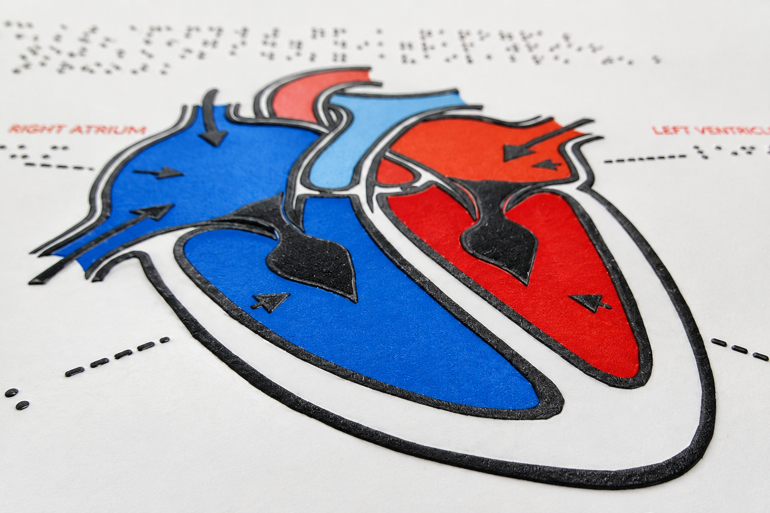 american-thermoform-tactile-graphics-swell-form-pro-maschine-fuser-schnell image 4