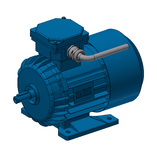 braillo-motor-main-s2-1-motor-mit-kabel-0-37-kw image 1